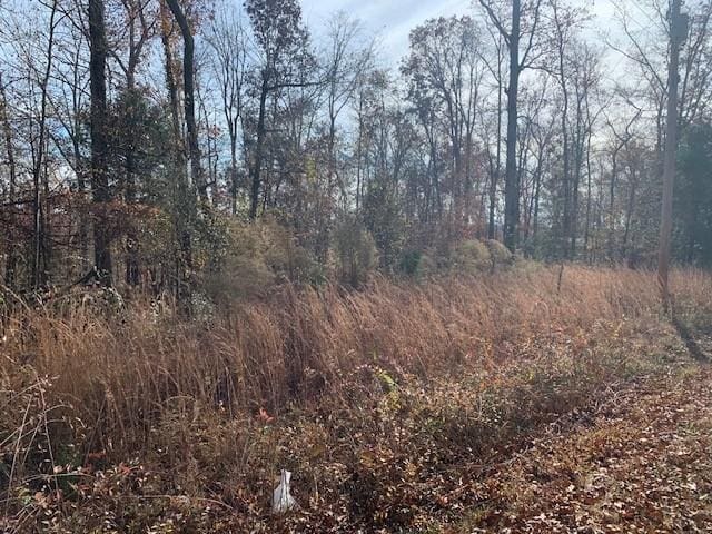 0 Lower Roans Creek Rd, Linden, TN 37096