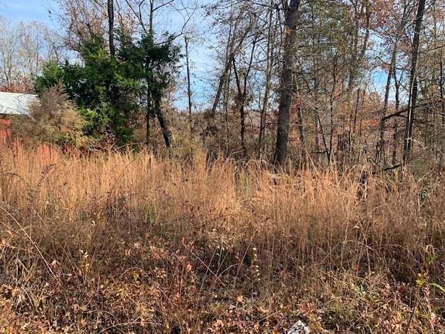 0 Lower Roans Creek Rd, Linden, TN 37096