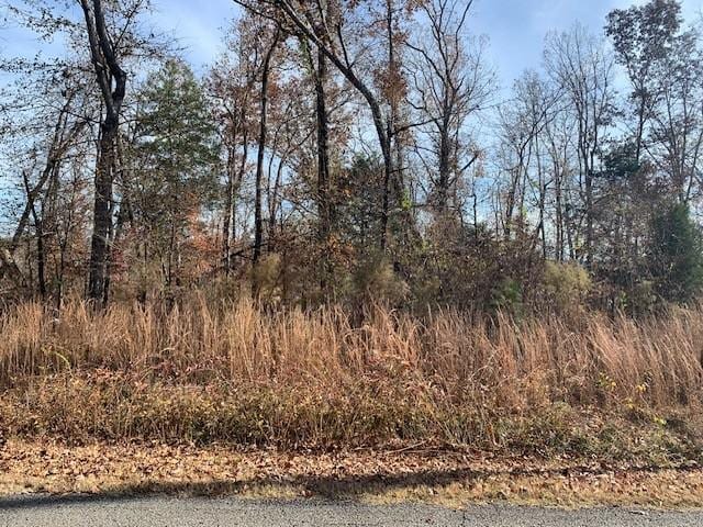 0 Lower Roans Creek Rd, Linden, TN 37096