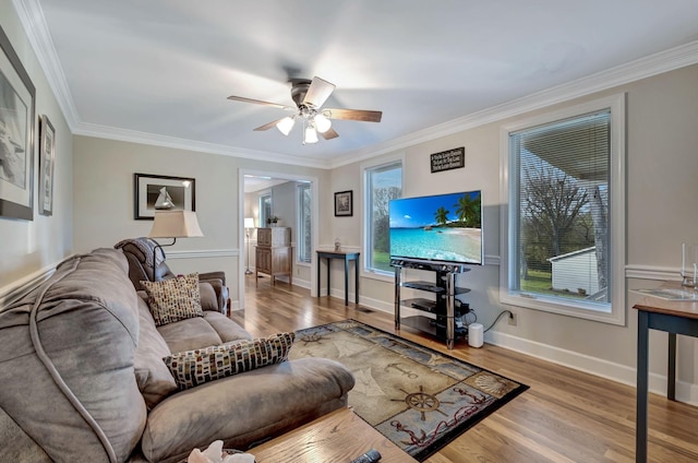 121 Grassland Dr, Gallatin, TN 37066 - living area with crown molding, a ceiling fan, and wood finished floors