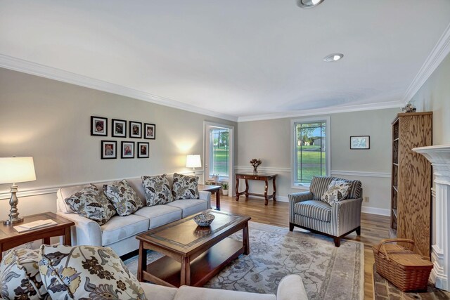 121 Grassland Dr, Gallatin, TN 37066 - living area with crown molding, wood finished floors, a fireplace, and baseboards