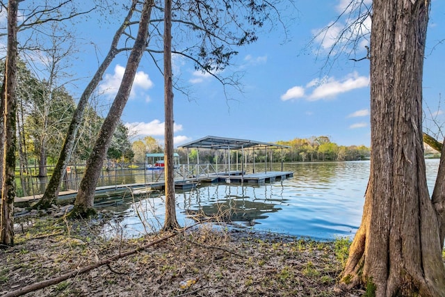 121 Grassland Dr, Gallatin, TN 37066 - dock featuring a water view