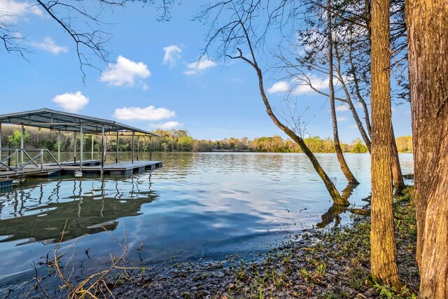 121 Grassland Dr, Gallatin, TN 37066 - dock area with a water view
