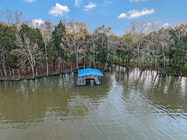 121 Grassland Dr, Gallatin, TN 37066 - dock area featuring a water view and boat lift