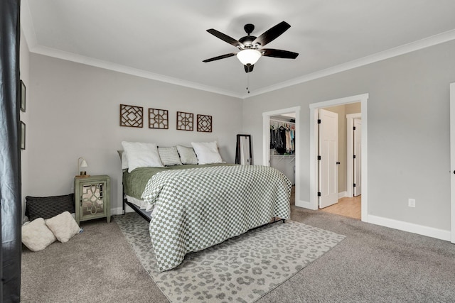 bedroom featuring carpet floors, crown molding, a walk in closet, baseboards, and a closet