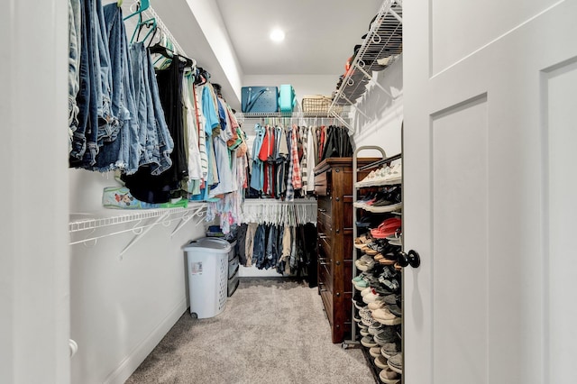 spacious closet featuring carpet