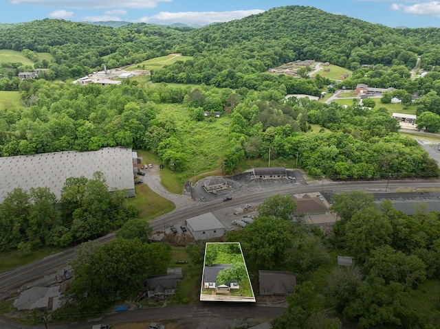 aerial view of property's location with a heavily wooded area, property boundaries highlighted, and a mountain backdrop