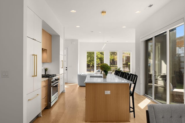 1400 Arthur Ave Unit 3, Nashville, TN 37208 - kitchen featuring modern cabinets, stainless steel stove, a kitchen breakfast bar, light wood finished floors, and a center island