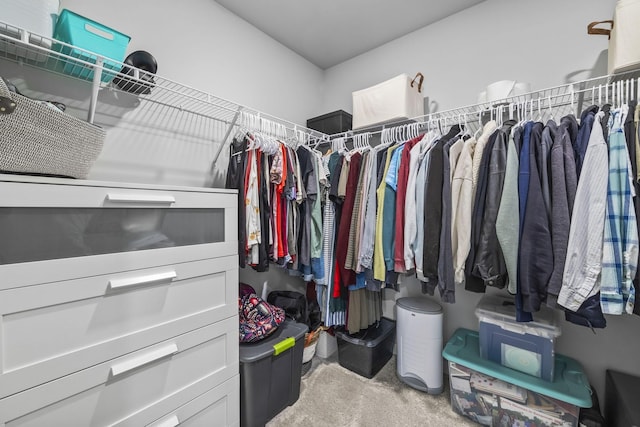 walk in closet with carpet floors