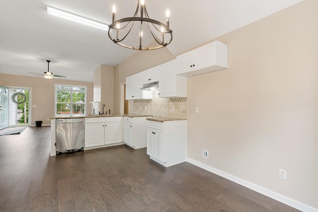 kitchen with dishwasher, a sink, under cabinet range hood, and dark wood finished floors