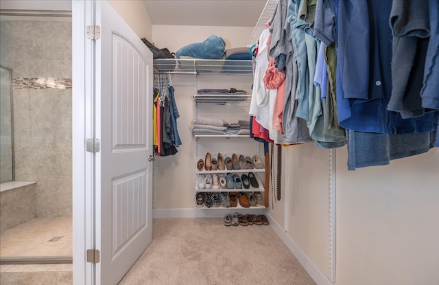 walk in closet with carpet