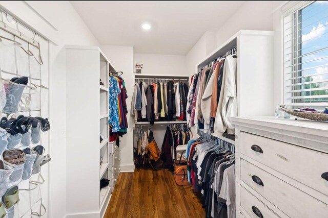 spacious closet featuring dark wood-type flooring