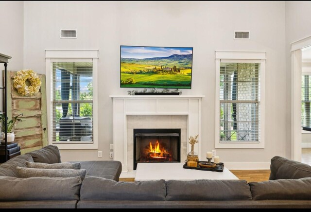living room with wood finished floors, a lit fireplace, baseboards, and plenty of natural light