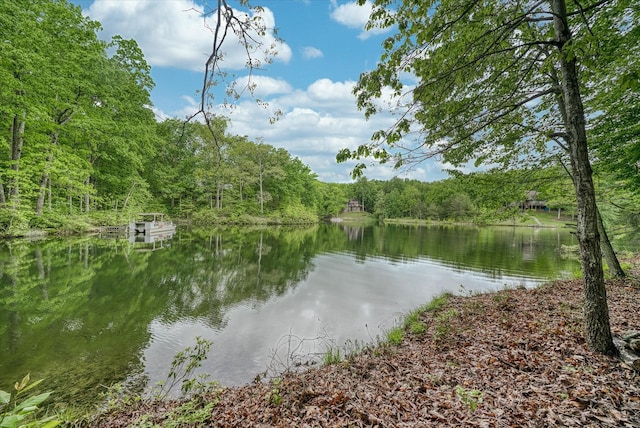 water view featuring a forest