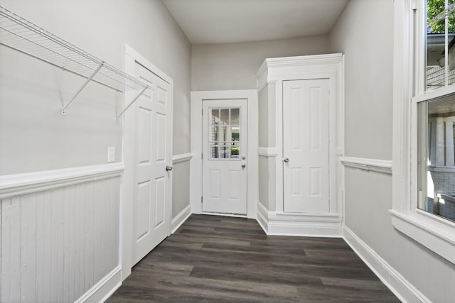 1405 W Lincoln St, Tullahoma, TN 37388 - spacious closet with dark wood-style flooring