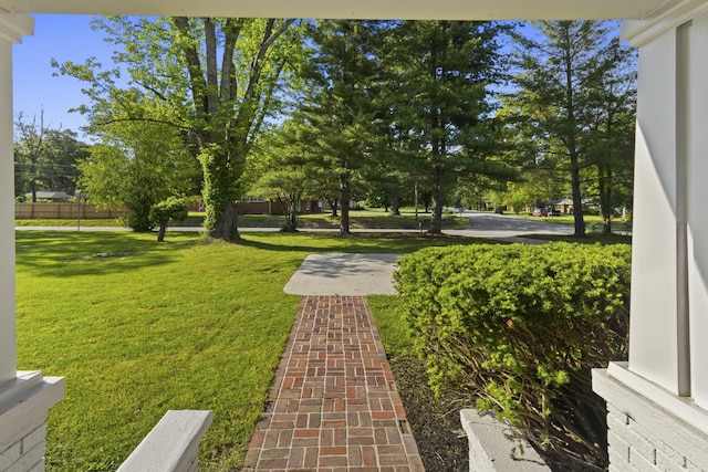 1405 W Lincoln St, Tullahoma, TN 37388 - view of grassy yard
