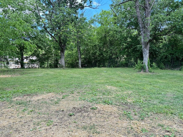 view of green lawn