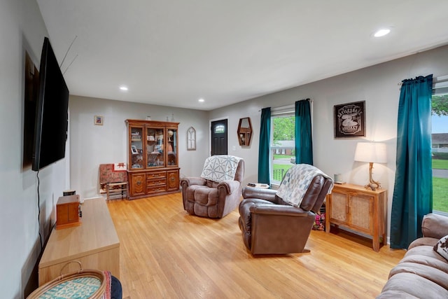 110 Marita Ave, Goodlettsville, TN 37072 - living room with light wood-style floors and recessed lighting