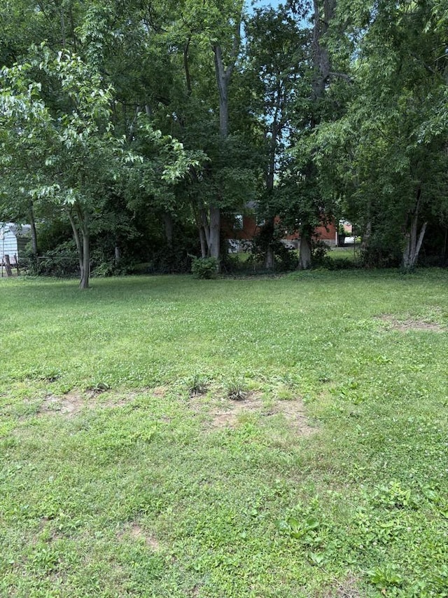 1914 Louanne Dr, Nashville, TN 37217 - photo 16