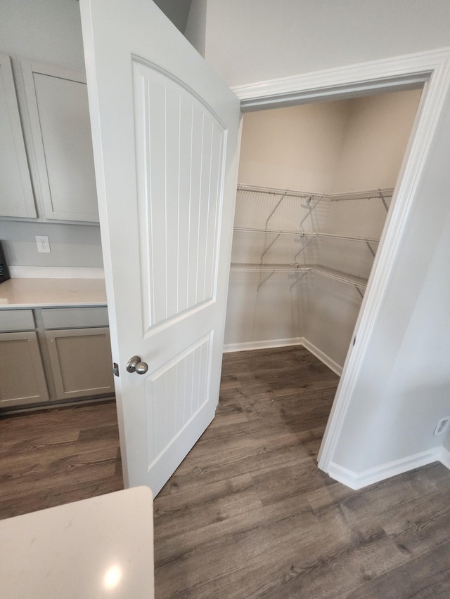 walk in closet featuring dark wood-style flooring
