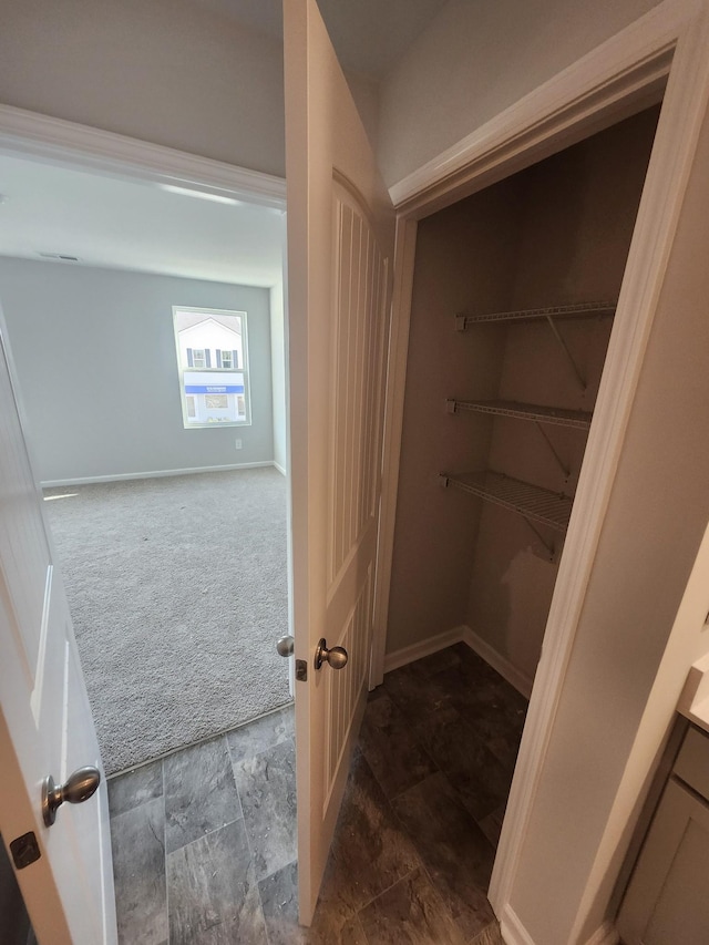 spacious closet with carpet flooring