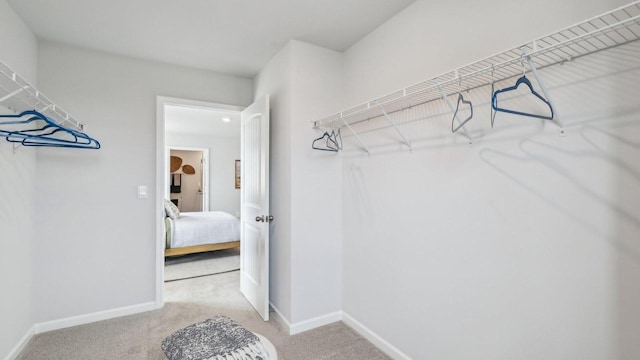 spacious closet featuring light colored carpet