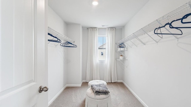 walk in closet featuring carpet
