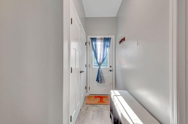 517 Main St, Burns, TN 37029 - entryway featuring light wood-type flooring