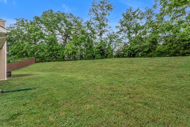 view of yard