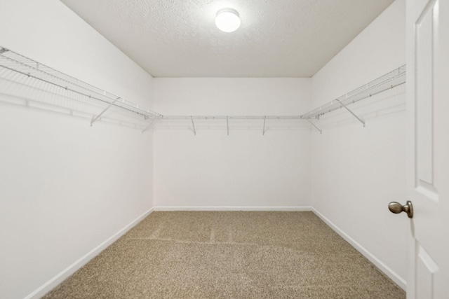 107 Owl Dr, Lebanon, TN 37087 - walk in closet featuring carpet floors