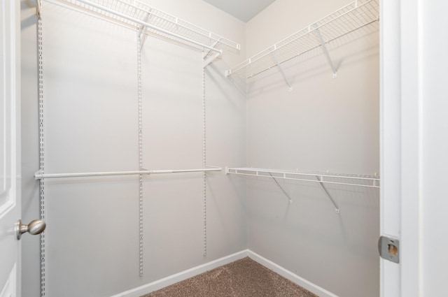 8007 Timber Cove Dr, Mount Juliet, TN 37122 - spacious closet with carpet floors
