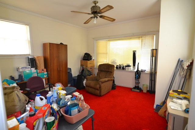 1210 Stewart Dr, Pulaski, TN 38478 - sitting room with ceiling fan, crown molding, and carpet flooring