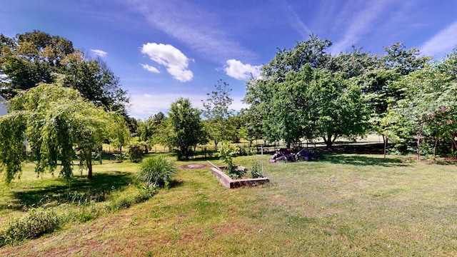 860 Dixie Bee Rd, Adams, TN 37010 - view of green lawn with a vegetable garden