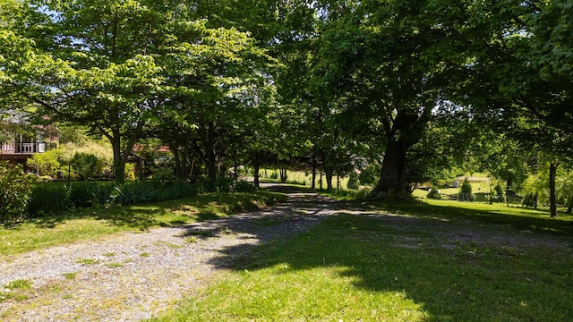 860 Dixie Bee Rd, Adams, TN 37010