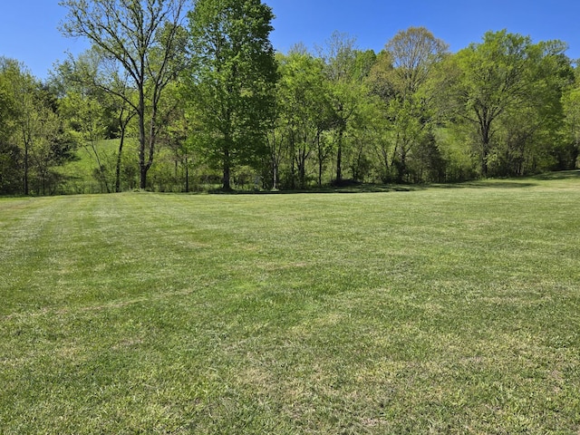 130 Wagoner Hill Rd, Fayetteville, TN 37334 - photo 29