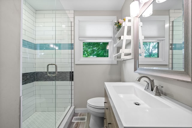 full bath featuring toilet, a shower stall, vanity, and healthy amount of natural light