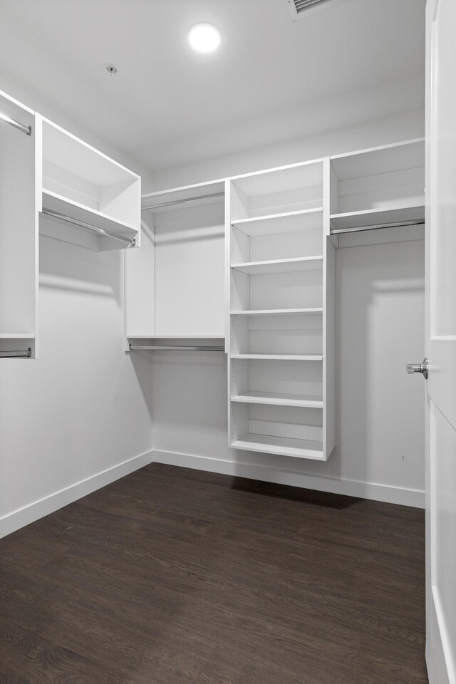 spacious closet featuring dark wood-type flooring