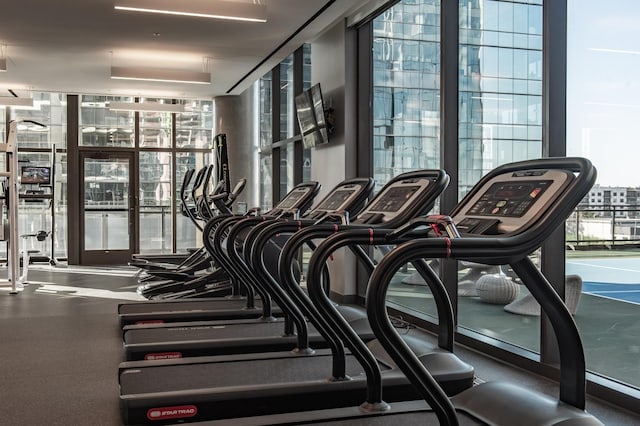 workout area featuring plenty of natural light and floor to ceiling windows