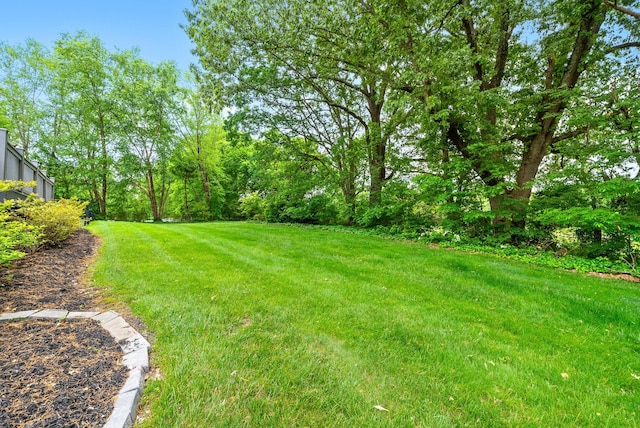 411 Lake Pointe Dr, Clarksville, TN 37043 - view of green lawn