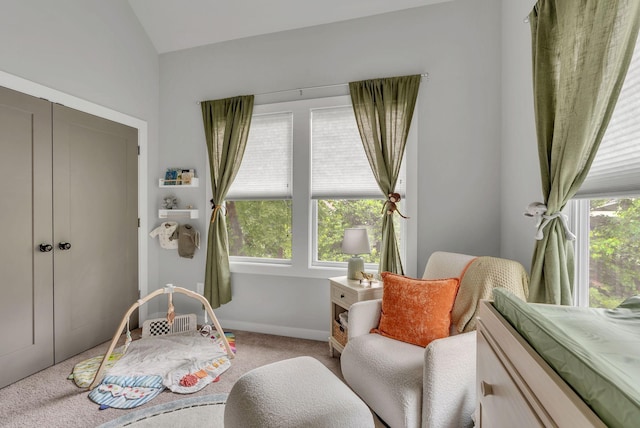 2009B Rosecliff Dr, Nashville, TN 37206 - photo 38