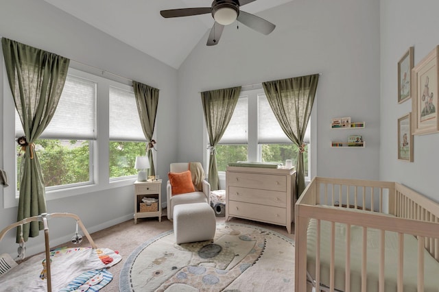 2009B Rosecliff Dr, Nashville, TN 37206 - photo 37