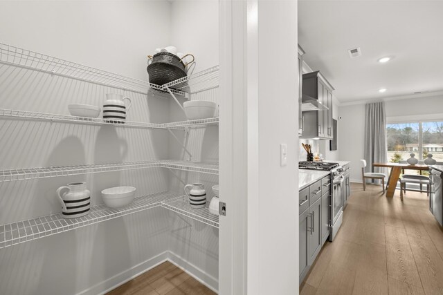 view of pantry