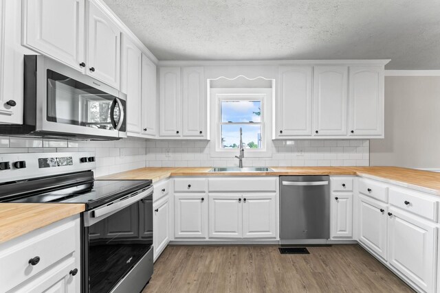 1950 Norton Rd, Lawrenceburg, TN 38464 - kitchen featuring stainless steel appliances, butcher block counters, a sink, light wood finished floors, and backsplash