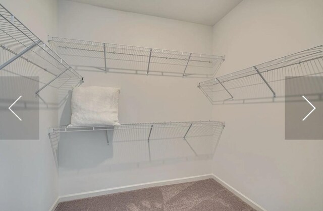 6161 Worthingtion Rd, Columbia, TN 38401 - walk in closet featuring carpet flooring