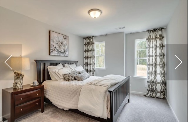 6161 Worthingtion Rd, Columbia, TN 38401 - bedroom with multiple windows and carpet flooring