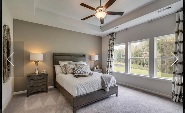 6161 Worthingtion Rd, Columbia, TN 38401 - carpeted bedroom featuring ceiling fan and a raised ceiling