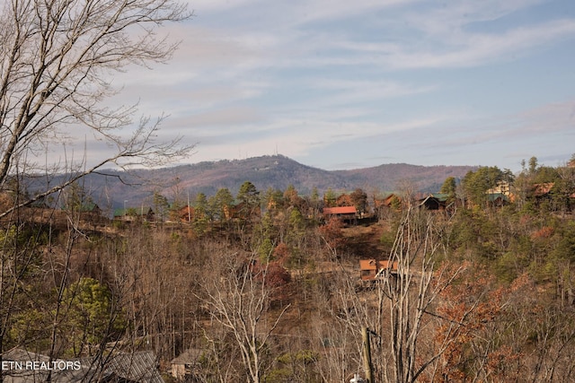 1640 Bench Mountain Way, Sevierville, TN 37862 - view of mountain background