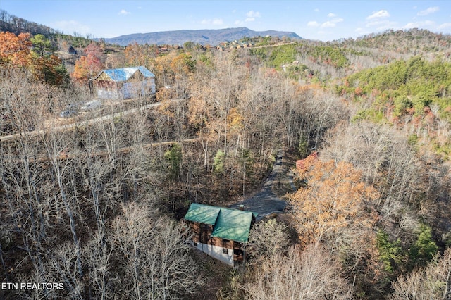 3514 Olde Tyme Way, Sevierville, TN 37862 - view of subject property with mountains and a heavily wooded area
