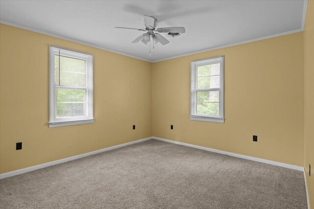 7158 Bahne Rd, Fairview, TN 37062 - spare room featuring ornamental molding, a ceiling fan, carpet, and baseboards