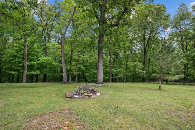 7158 Bahne Rd, Fairview, TN 37062 - view of green lawn with a fire pit
